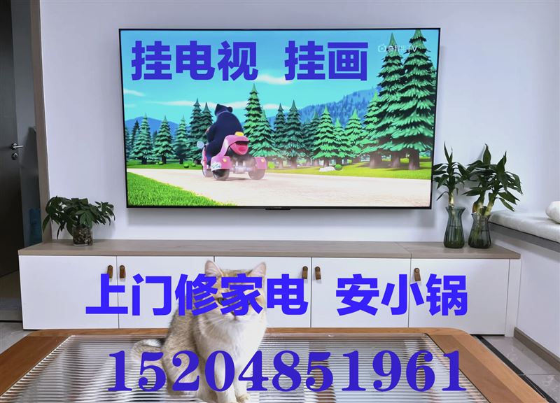 上門修家電，掛電視，掛畫，安小鍋，安熱水器15204851961